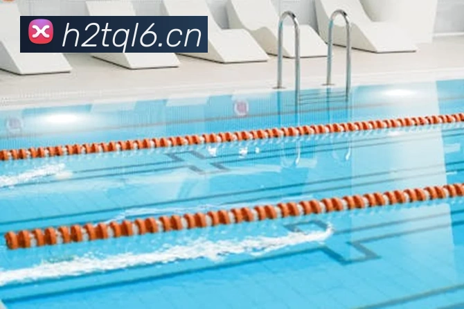 星空平台登录入口服务体系